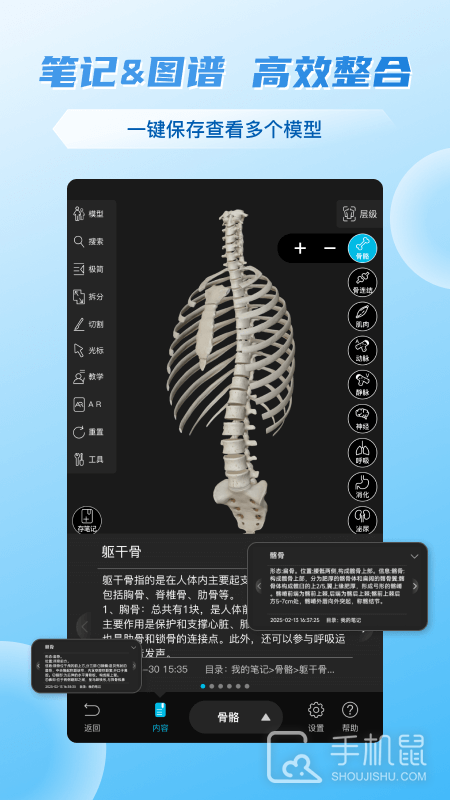维萨里3D解剖app下载_维萨里3D解剖免费版下载v6.8.2 运行截图2