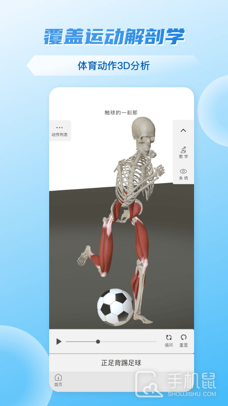 维萨里3D解剖app下载_维萨里3D解剖免费版下载v6.8.2 运行截图4